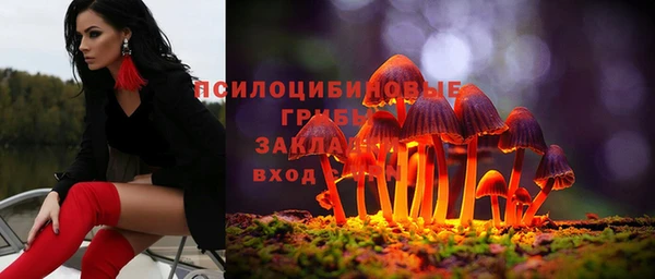 молекула духа Белоозёрский