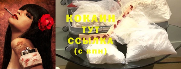 соль курить ск Богданович