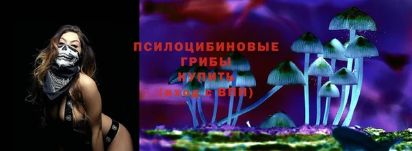 2c-b Белокуриха