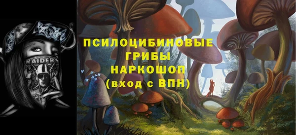мдма Богородицк
